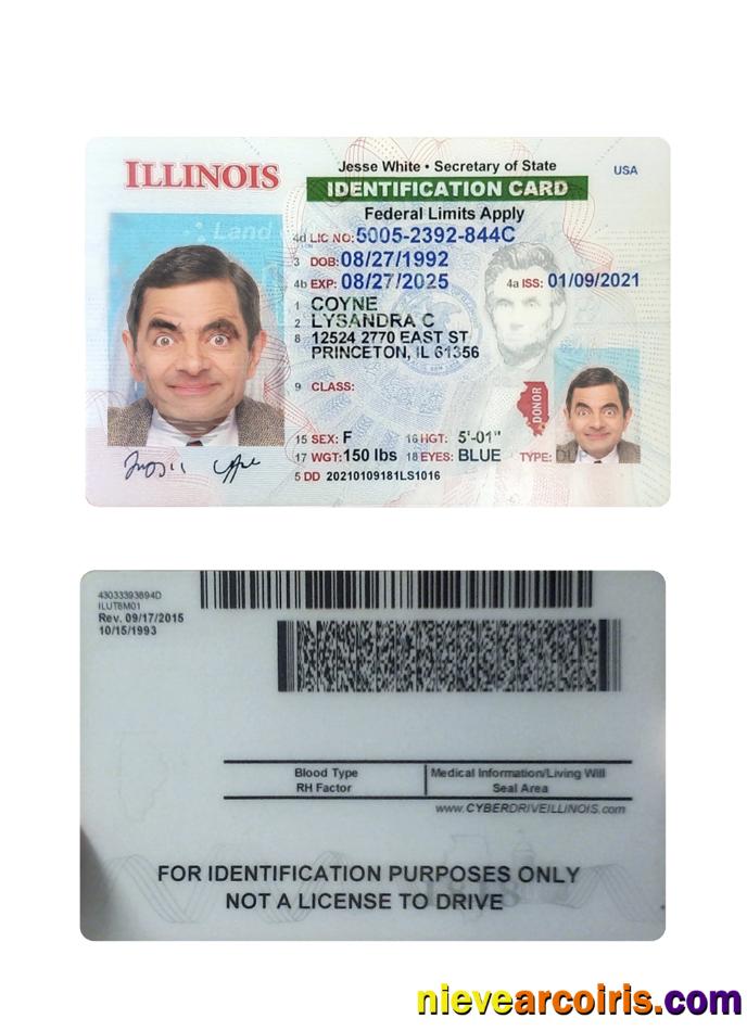 USA Illinois ID card